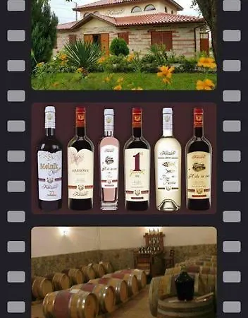 Pensión Kiossev Wine Cellar Ilindentsi