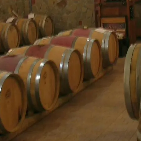 Kiossev Wine Cellar * Ilindentsi