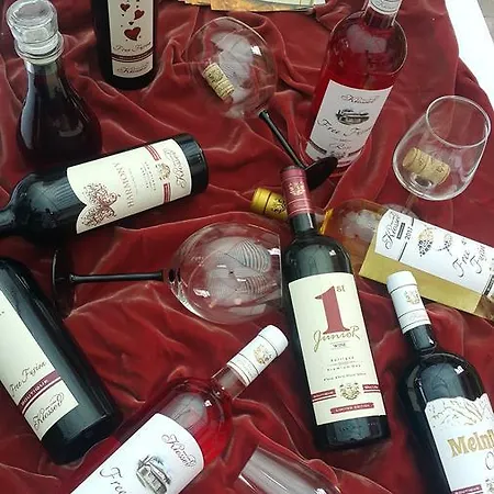 Kiossev Wine Cellar Pensión Ilindentsi