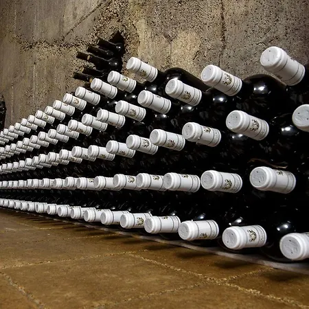 Kiossev Wine Cellar