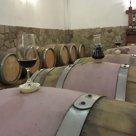 Kiossev Wine Cellar *